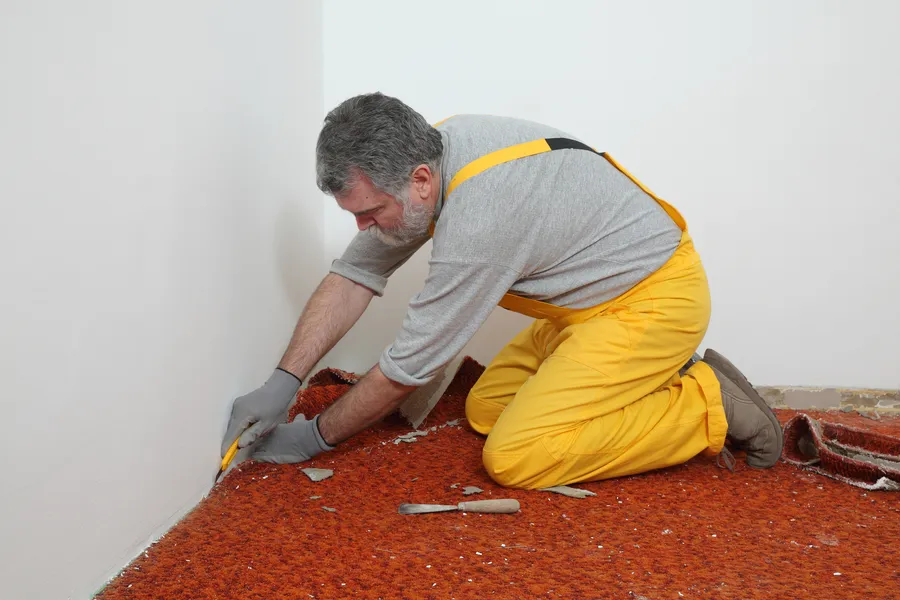 How Carpet Installation Enhances Home Comfort And Aesthetics in San Jose CA How Carpet Installation Enhances Home Comfort And Aesthetics in San Jose CA